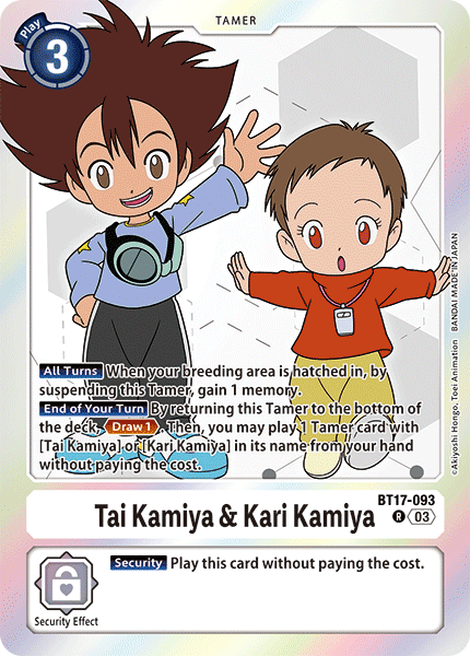 Tai Kamiya & Kari Kamiya
