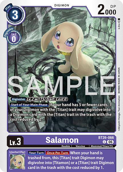 Salamon