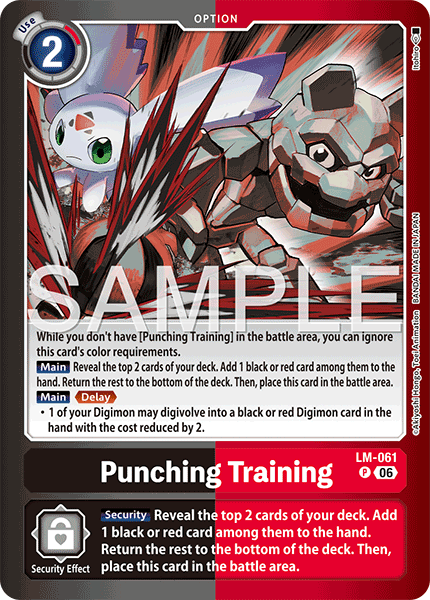 Punching Training