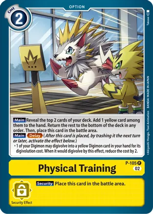 Physical Training