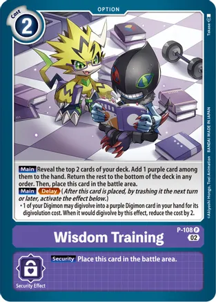 Wisdom Training