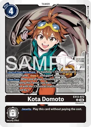 Kota Domoto